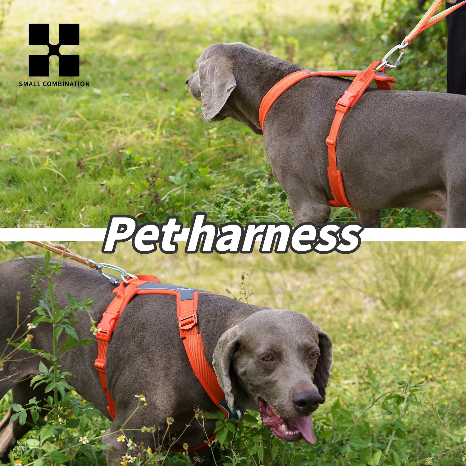 Dog Harness for Small Medium Large Dogs No Pull Reflective Dog Harness Adjustable Comfortable Outdoor Walking