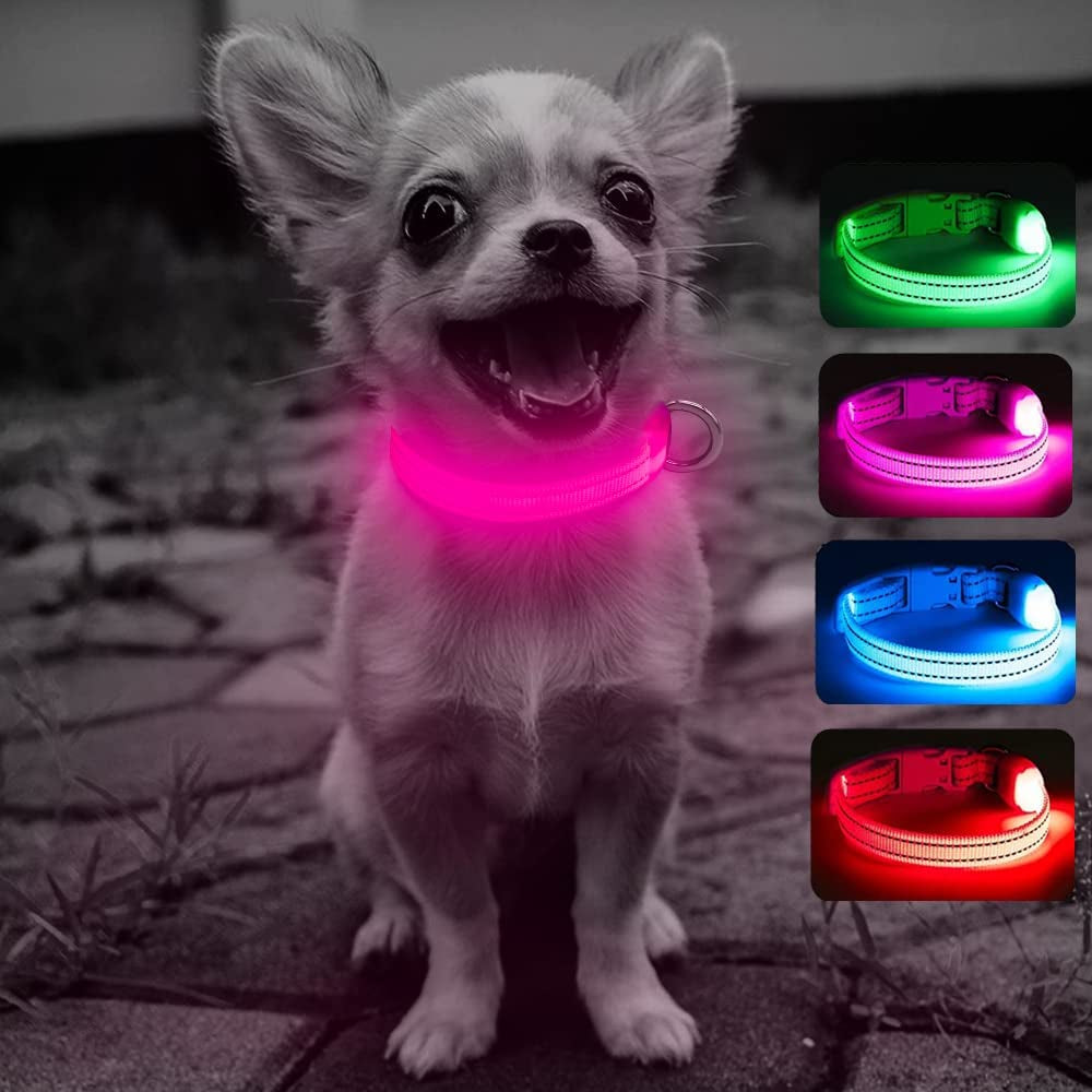 Light up Collar for Small Dogs& Cats, Reflective LED Dog Collar Rechargeable Puppy Safety Lights for Nighttime Walking (Pink)