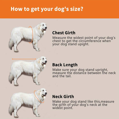 Dog Life Jacket- Preserver with Adjustable Belt, Pet Swimming Shark Jacket for Short Nose Dog Upgrade Version (Pug,Bulldog,Poodle,Bull Terrier,Samoyed,Alaskan Malamute) (XS, Orange)