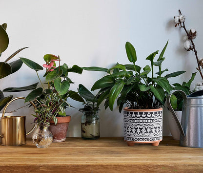 2-Pack Terracotta Pots, 4/6 In, Midnight Lace, 31-953-F-2 | Hand-Painted Details, Three-Legged Design, Natural Clay Texture, Artisan Patterned Finish, Elegant Accent for Indoor Plants